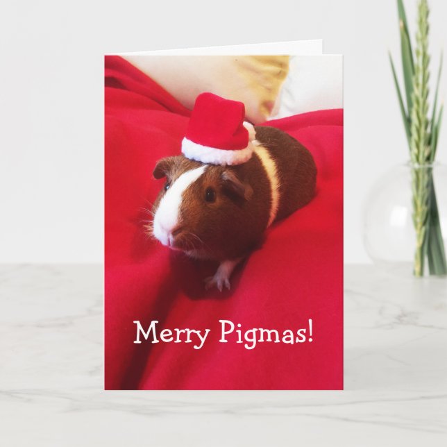 Cute Santa Guinea Pig Christmas Holiday Card (Front)