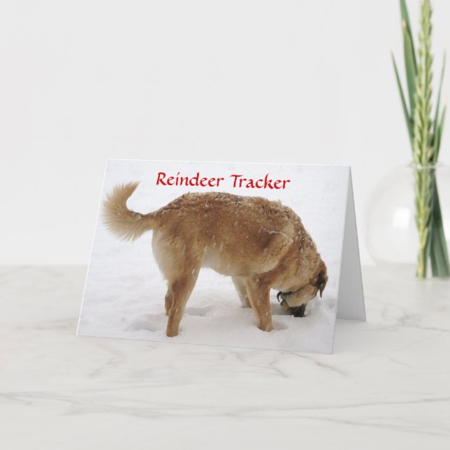 Cute Santa & Reindeer Search & Rescue Dog Holiday Card (Front)