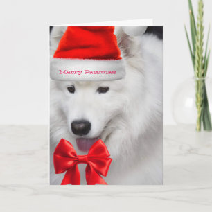 Cute Santa Samoyed merry Christmas card
