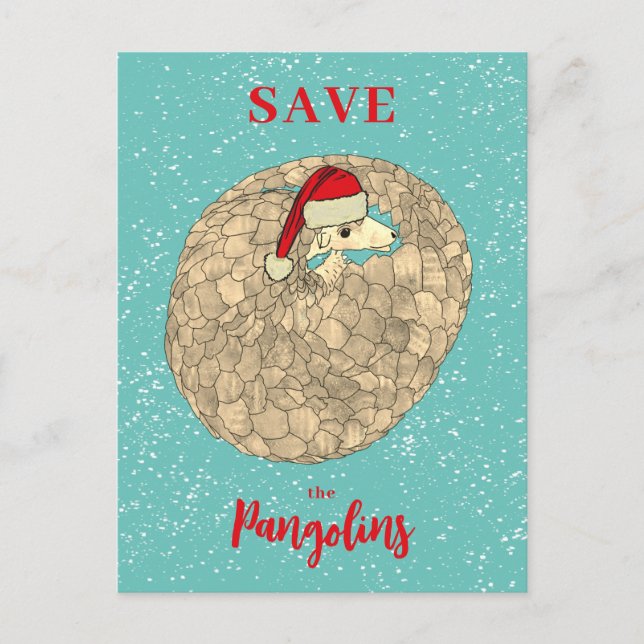 Cute Save the Pangolin Christmas Budget Holiday Postcard (Front)