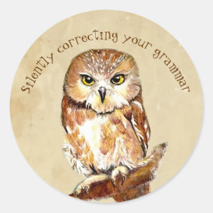Cute Saw Whet Owl, Bird Correcting Grammar Quote  Classic Round Sticker
