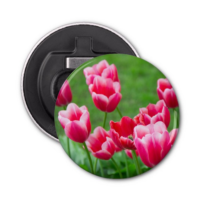 Cute scarlet tulips in the garden bottle opener (Front)