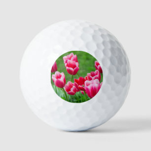 Cute scarlet tulips in the garden golf balls