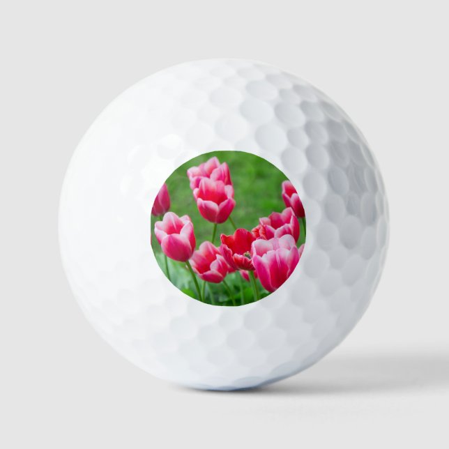 Cute scarlet tulips in the garden golf balls (Front)