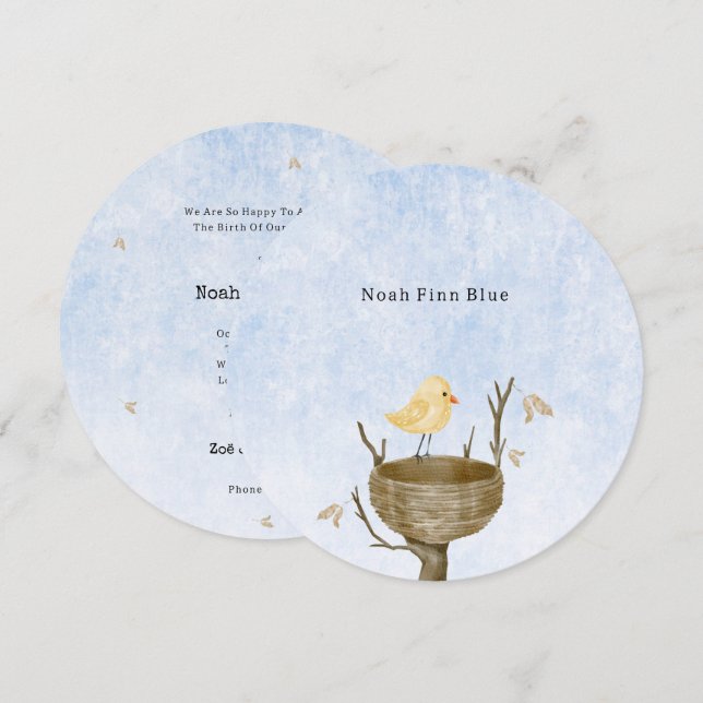 Cute Scene With Little Baby Bird In A Bird's Nest Invitation (Front/Back)