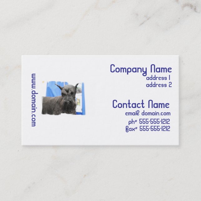 Cute Schnauzer Business Cards (Front)