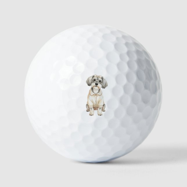 Cute schnauzer long eared dog  golf balls (Front)