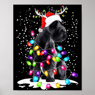 Cute Schnauzer With Christmas Lights  Poster