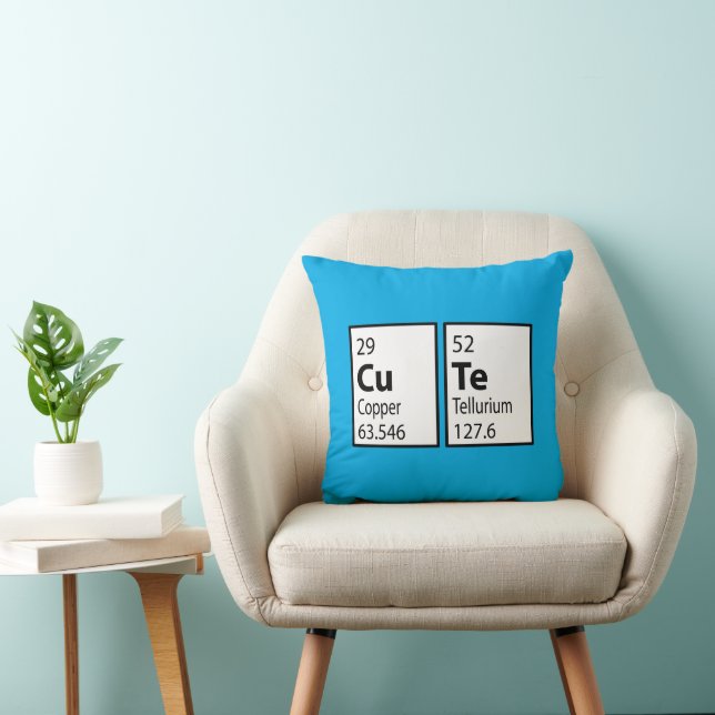 Cute Science Geek Cushion (Chair)