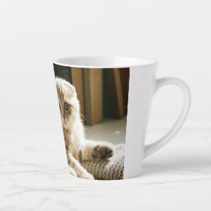 Cute Scottish Fold Cat Mug - Cosy Cat Lover Coffee
