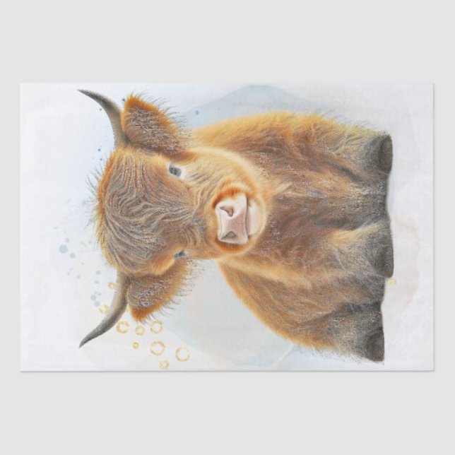 Cute Scottish Highlander Cow Tissue Paper (Front)