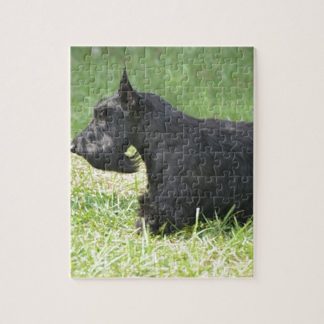 Cute Scottish Terrier Jigsaw Puzzle (Vertical)