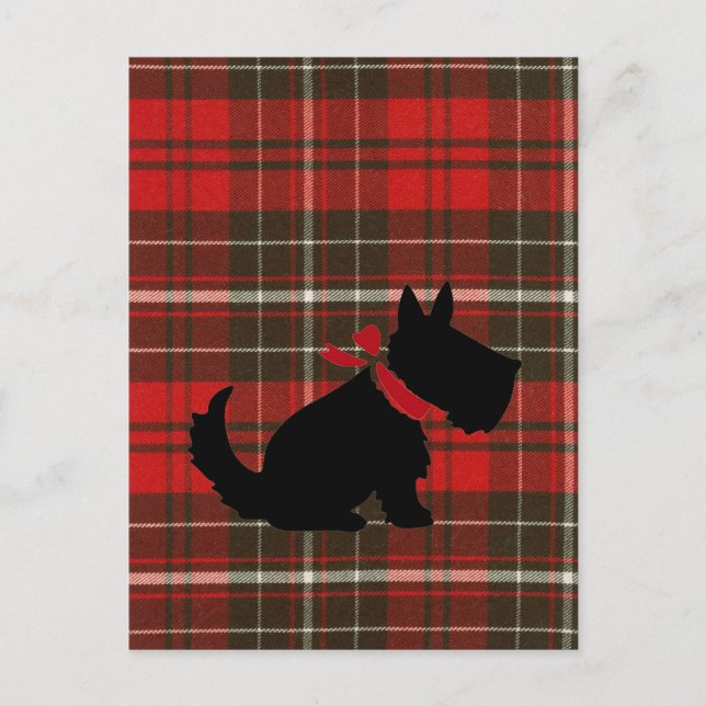 Cute Scotty Dog & Red Tartan Postcard (Front)