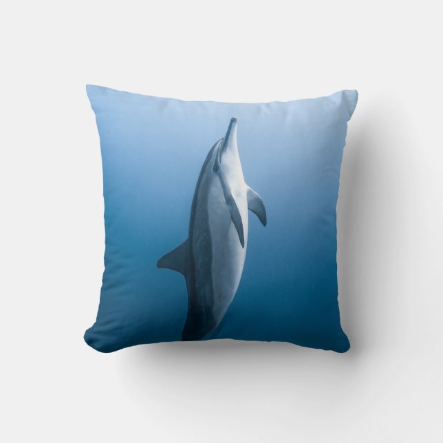 Cute Sea Dolphin Cushion (Front)