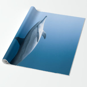 Cute Sea Dolphin Wrapping Paper