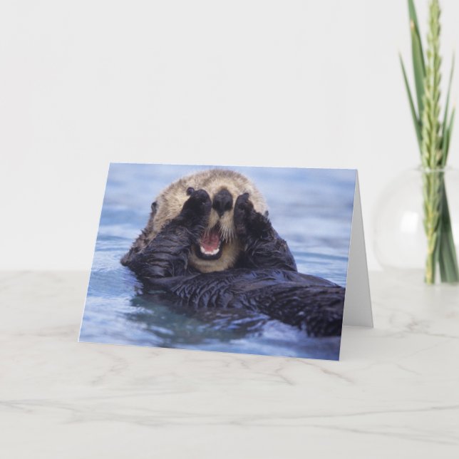 Cute Sea Otter | Alaska, USA Card (Front)