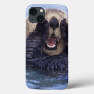 Cute Sea Otter   Alaska, USA iPhone 13 Case