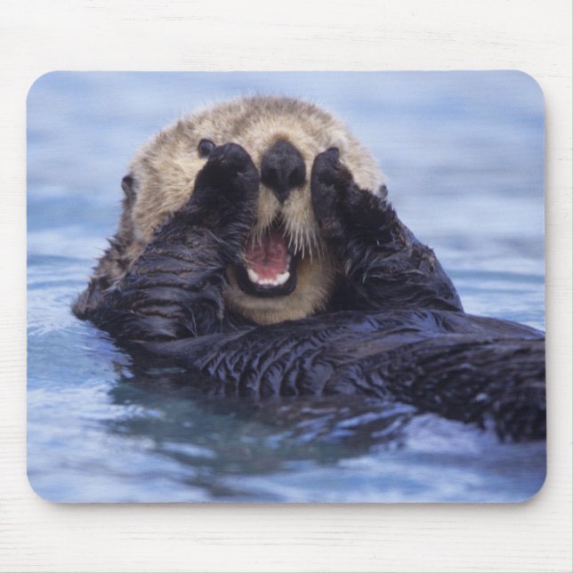 Cute Sea Otter | Alaska, USA Mouse Pad (Front)