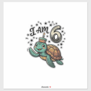 Cute Sea Turtle 6th Birthday Vintage Shirt Design_