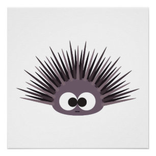 Cute sea Urchin Poster