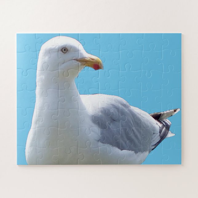 Cute Seagull Laying Down Beach Bird Wildlife Photo Jigsaw Puzzle (Horizontal)