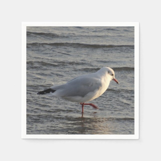 Cute Seagull Napkin (Front)
