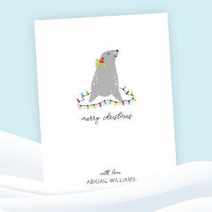 Cute Seal Christmas