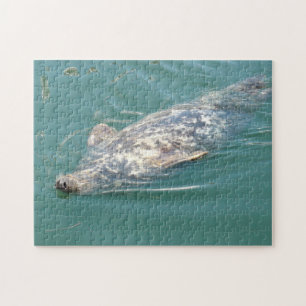 Cute Seal Floating on his Back in Cape Cod Jigsaw Puzzle