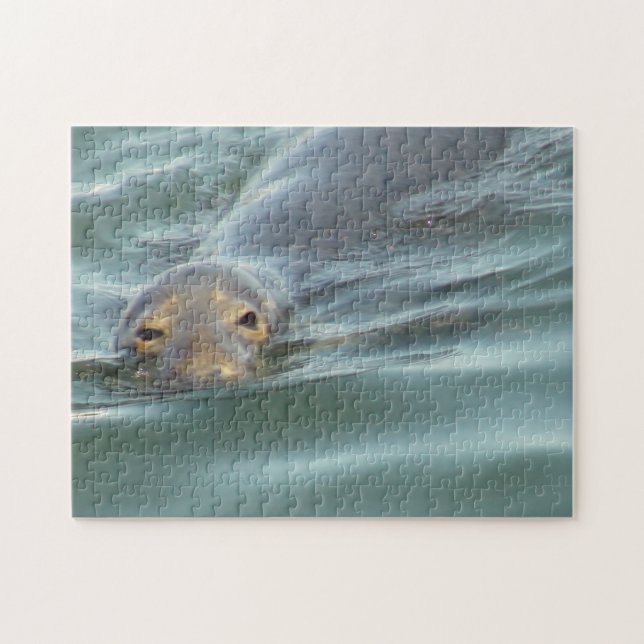 Cute Seal from Cape Cod Jigsaw Puzzle (Horizontal)