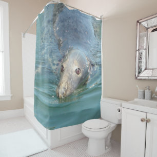 Cute Seal from Cape Cod Shower Curtain