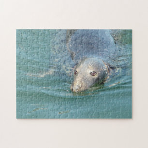 Cute Seal in Cape Cod Jigsaw Puzzle