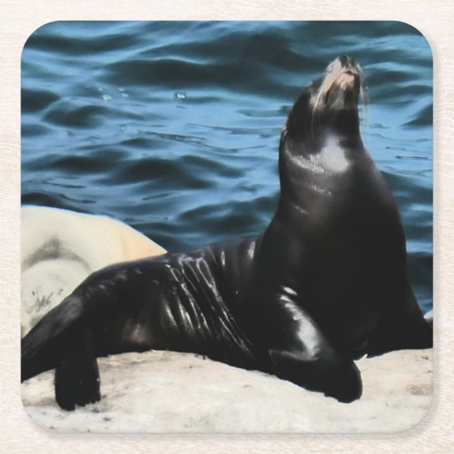 Cute Seal on a Rock Square Paper Coaster (Front)