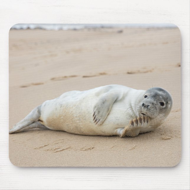 Cute Seal Posing on a Beach Mouse Pad (Front)