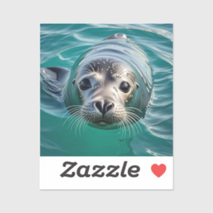 Cute Seal Sticking his Head out of Water