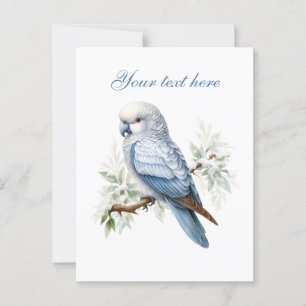 Cute Seasonal Winter bird add text  Postcard