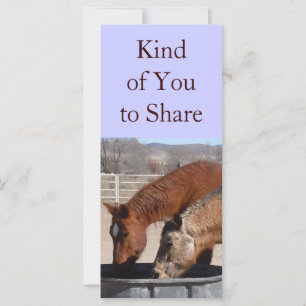 Cute Sharing is Fun Horse Western Bookmarks