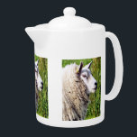 CUTE SHEEP<br><div class="desc">A photographic design of a cute sheep.</div>