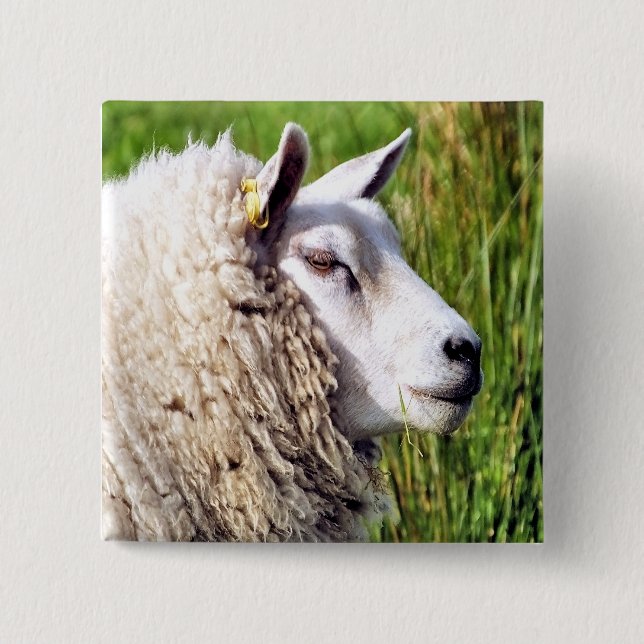 CUTE SHEEP 15 CM SQUARE BADGE (Front)