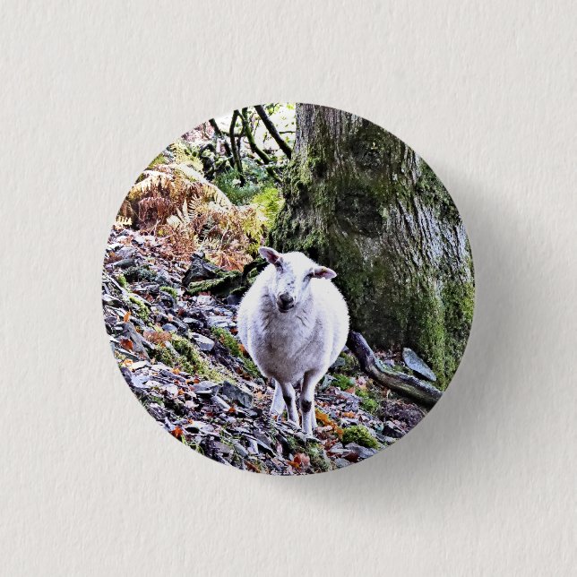 CUTE SHEEP 3 CM ROUND BADGE (Front)