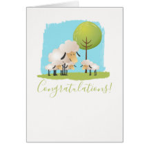 Cute Sheep and Three Lambs New Triplet Babies