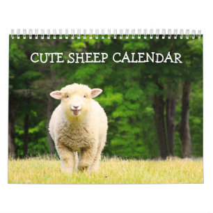 Cute Sheep Calendar