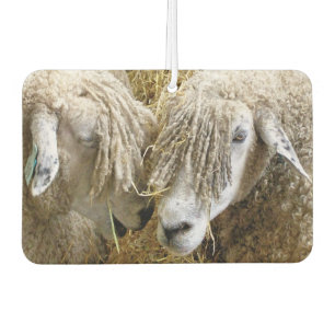 CUTE SHEEP CAR AIR FRESHENER