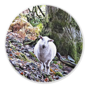 CUTE SHEEP CERAMIC KNOB
