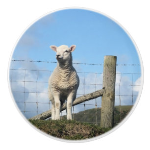CUTE SHEEP CERAMIC KNOB
