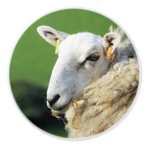 CUTE SHEEP CERAMIC KNOB