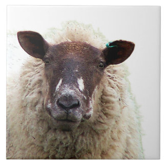 CUTE SHEEP CERAMIC TILE