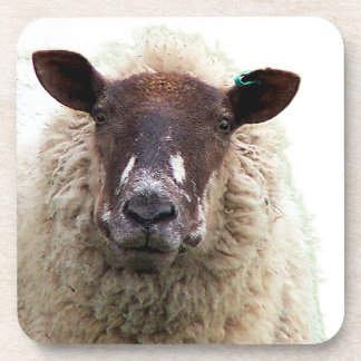 CUTE SHEEP COASTER