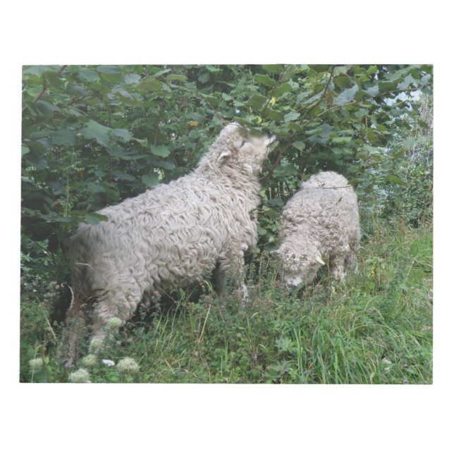 Cute Sheep Eating Leaves Notepad (Front)