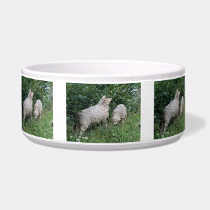 Cute Sheep Eating Leaves Pet Bowl