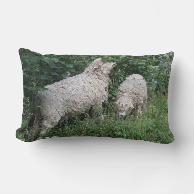 Cute Sheep Eating Leaves Pillow (Front)